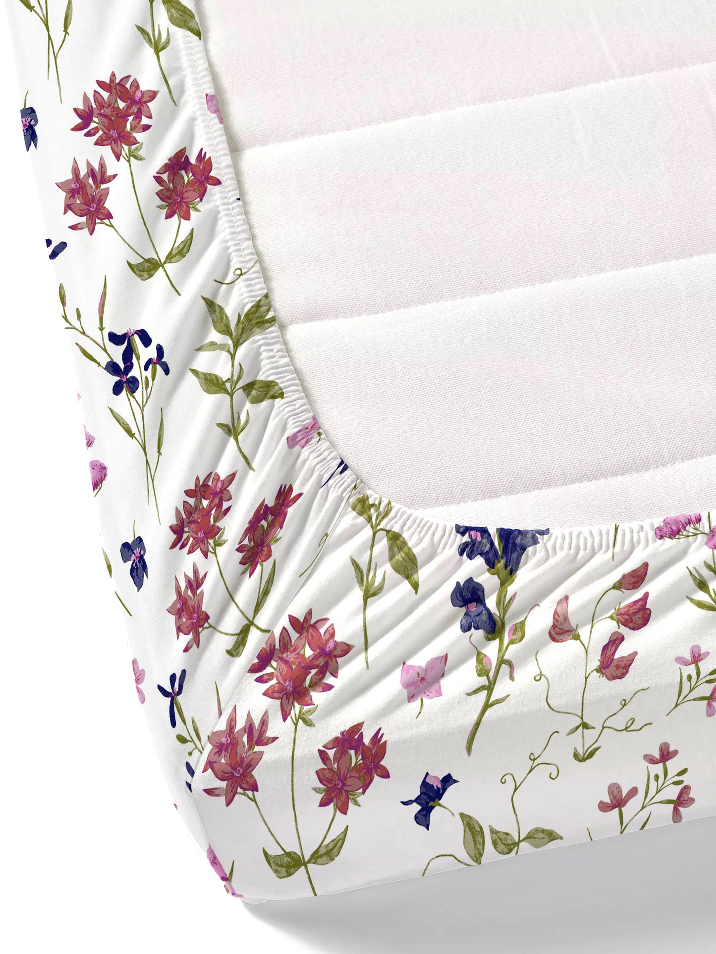 Home Ecstasy 100% Cotton Bedsheets, Floral | 140 TC | White