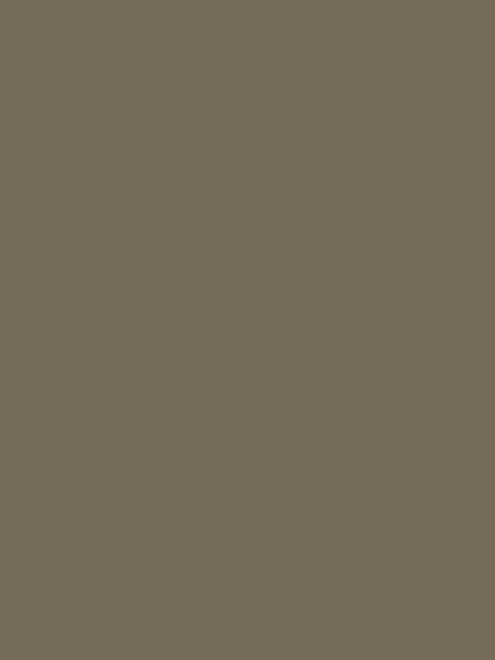 Home Ecstasy 100% Cotton Solid Bedsheet Set | 180 TC | Light Brown