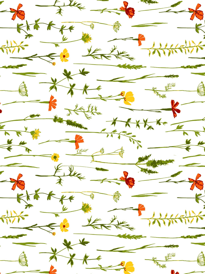 Home Ecstasy 100% Cotton Floral Bedsheet Set