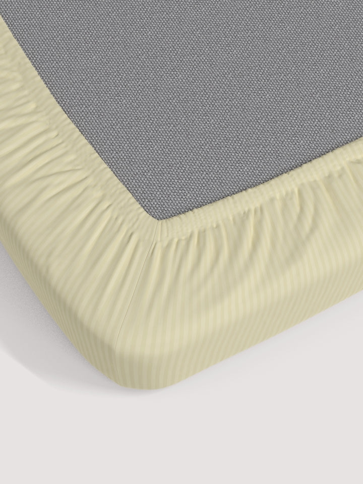 Dreamscape 100% Cotton Stripe Bedsheet Set | 300 TC | Ivory