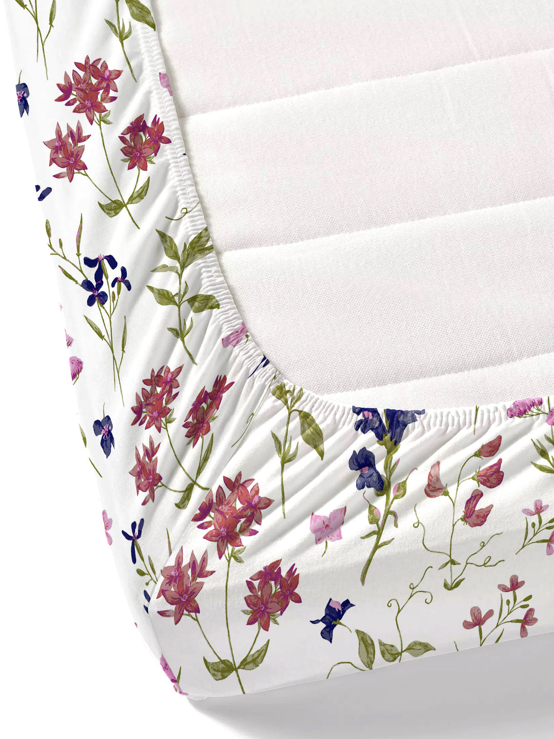 Home Ecstasy 100% Cotton 140TC Bedsheets, Floral