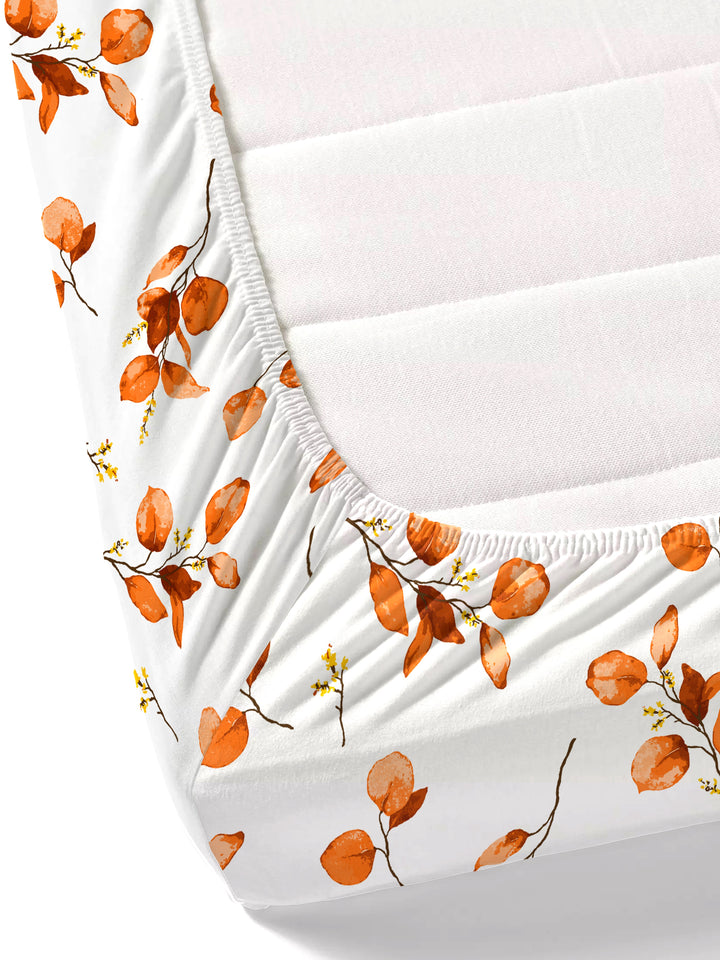 Home Ecstasy 100% Cotton 140TC Bedsheets, Premium