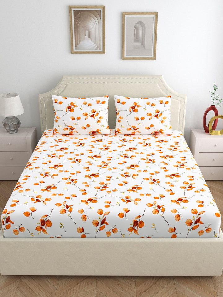 Home Ecstasy 100% Cotton 140TC Bedsheets, Premium