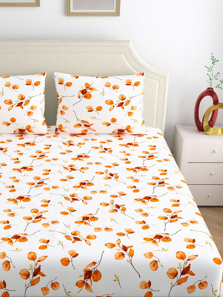 Home Ecstasy 100% Cotton 140TC Bedsheets, Premium