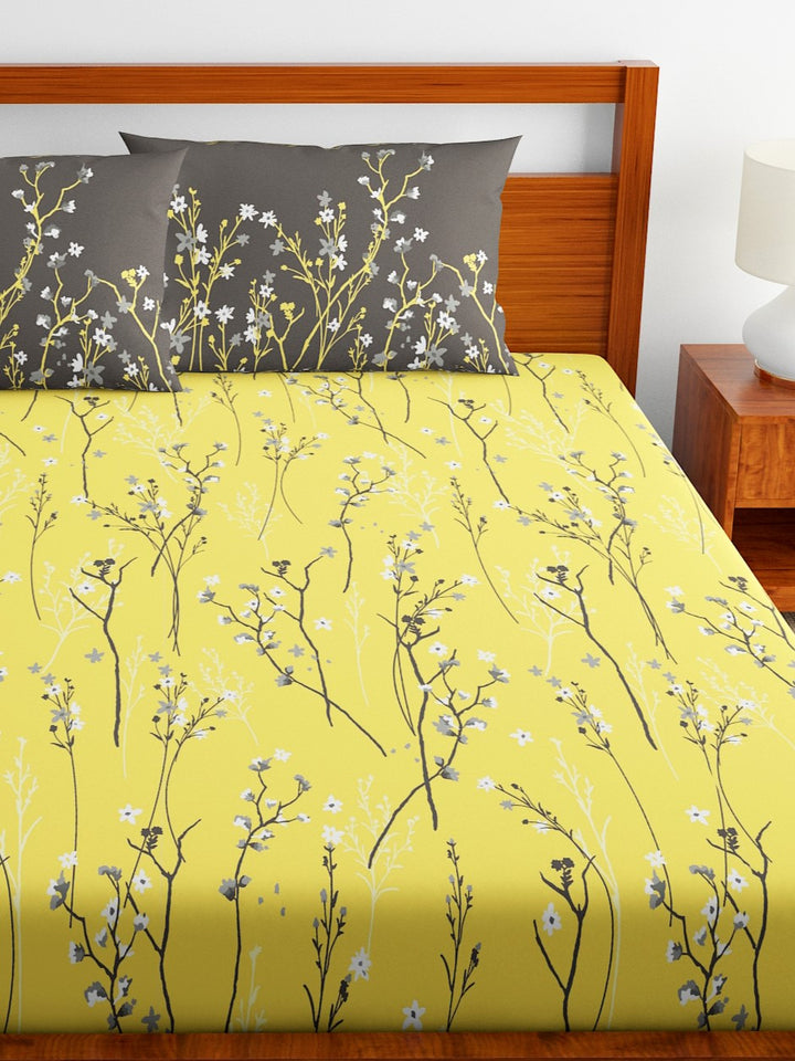 Home Ecstasy 100% Cotton 140TC Bedsheets, Premium