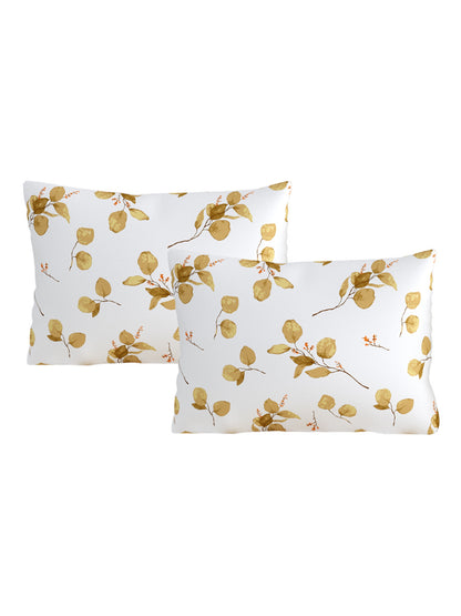 Home Ecstasy 100% Cotton 140 TC Floral Bedsheet Set - Colour: Brown
