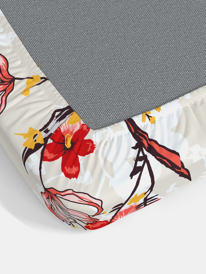 Dreamscape 100% Cotton Floral Bedsheet Set