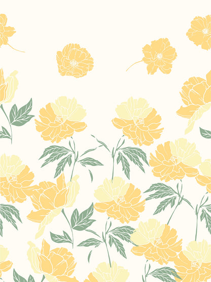 Dreamscape 100% Cotton Fitted Bedsheet with 2 Pillow Covers - (Size 60 x 78 inches, 140 TC, Colour - Beige)