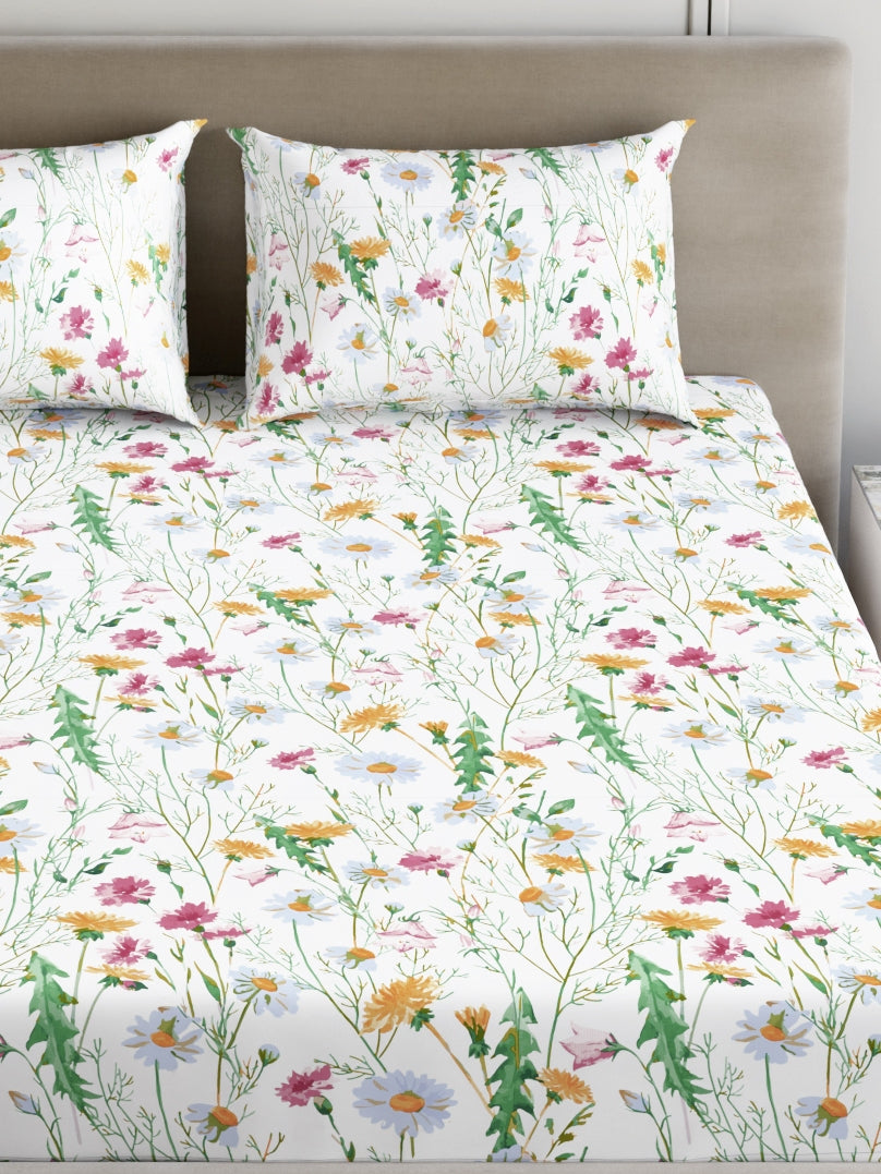 Dreamscape 100% Cotton 180 TC Floral Bedsheet Set - Colour: Pink