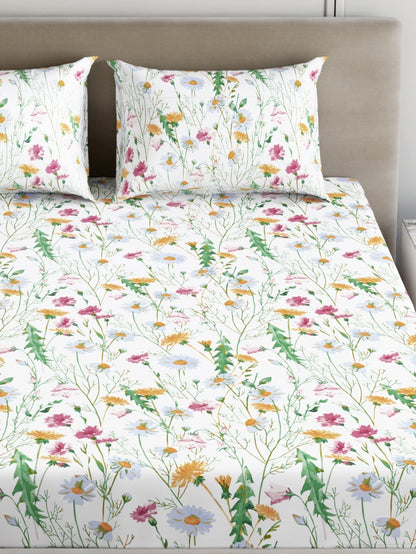 Dreamscape 100% Cotton 180 TC Floral Bedsheet Set - Colour: Pink