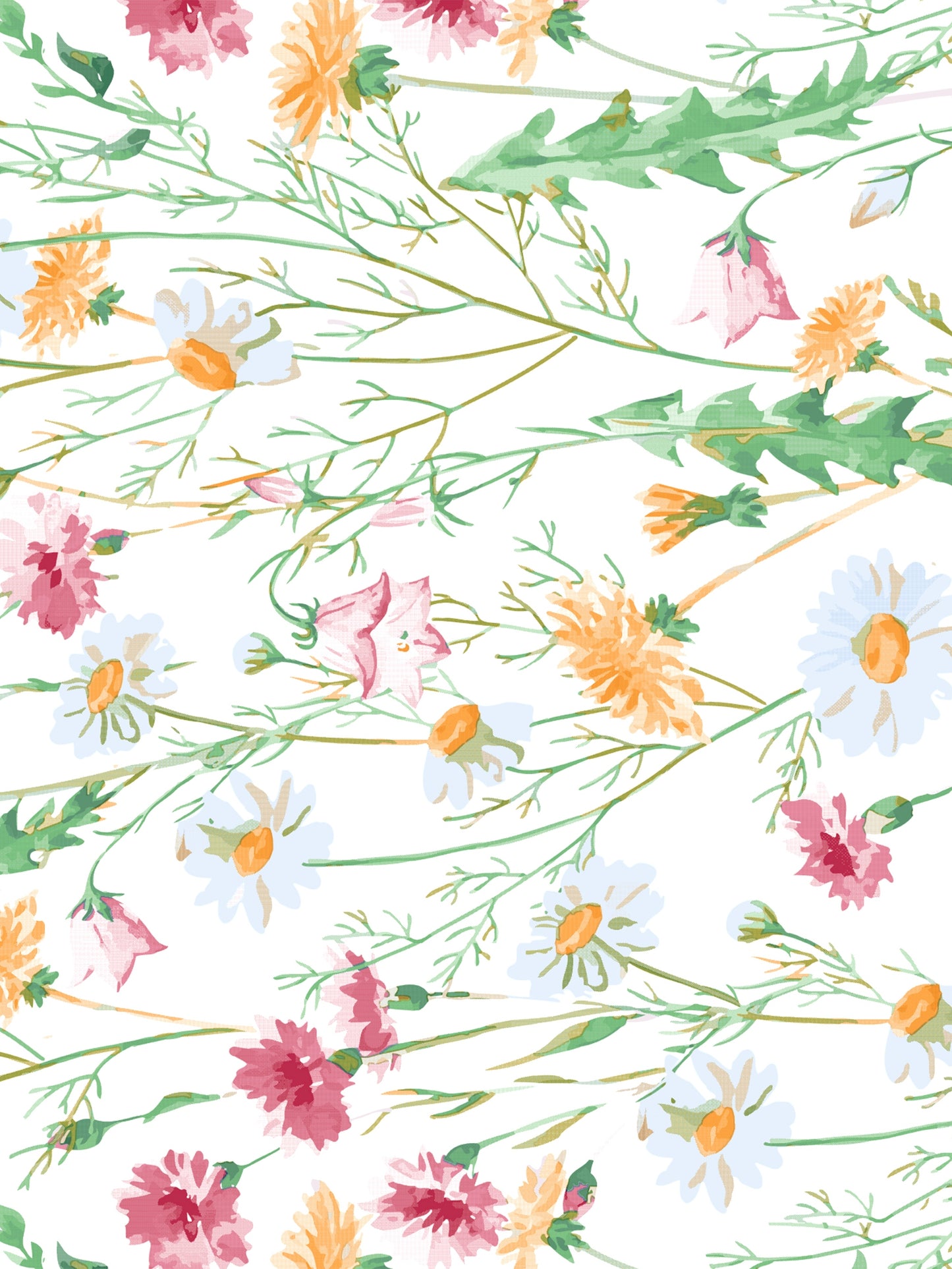 Dreamscape 100% Cotton 180 TC Floral Bedsheet Set - Colour: Pink