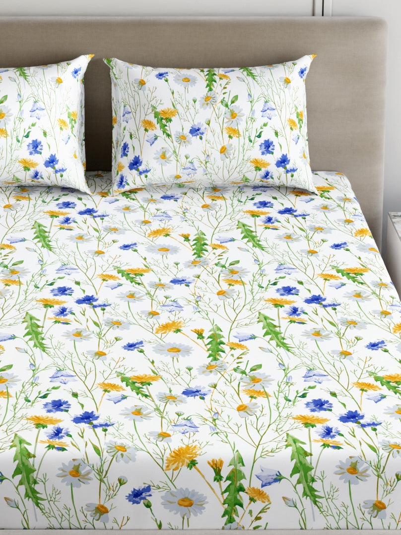 Dreamscape 100% Cotton 180 TC Floral Bedsheet Set - Colour: Blue