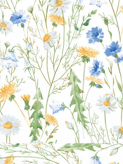Dreamscape 100% Cotton 180 TC Floral Bedsheet Set - Colour: Blue