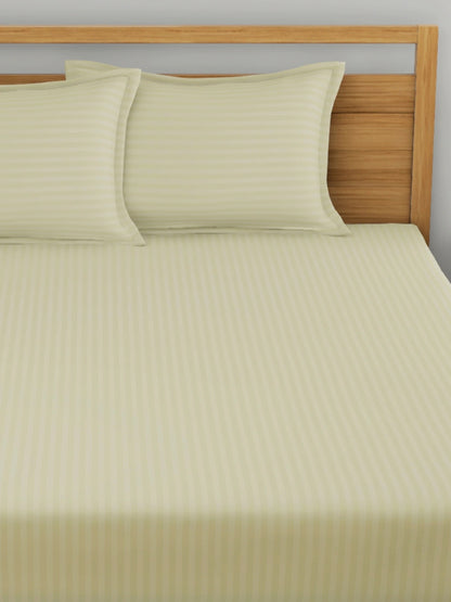 Dreamscape 100% Cotton Stripe Bedsheet Set | 300 TC | Ivory
